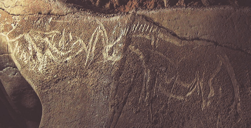 tl_files/FGTIS/contenu/images/visite-grotte-6.jpg